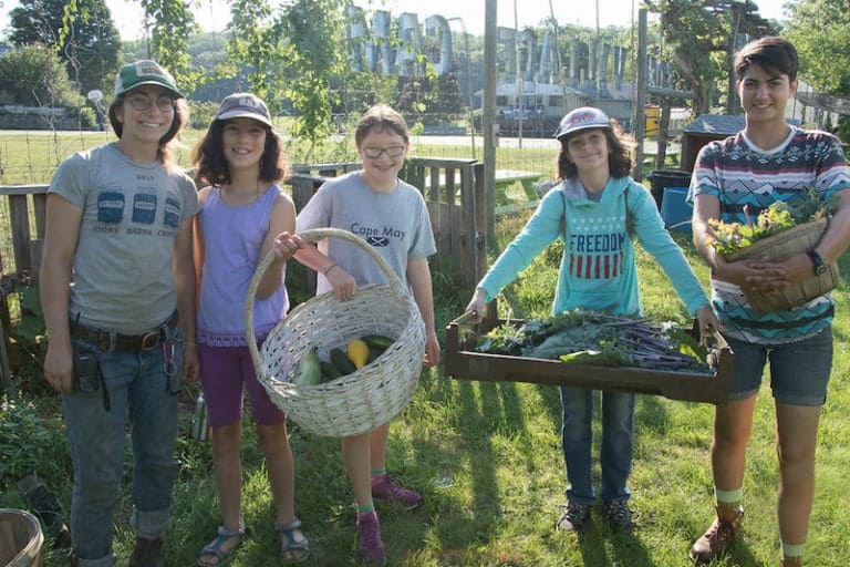 Freshly picked vegetables at Eden Village Camp organic farm.