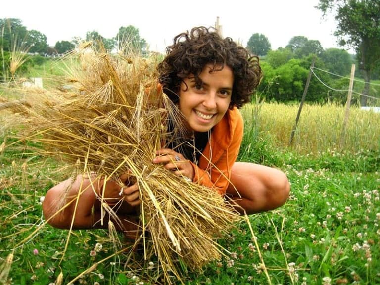 Vibrant girl harvesting wheat on eco-friendly Eden Village Camp farm environment, enjoying outdoor learning and sustainable living activities.