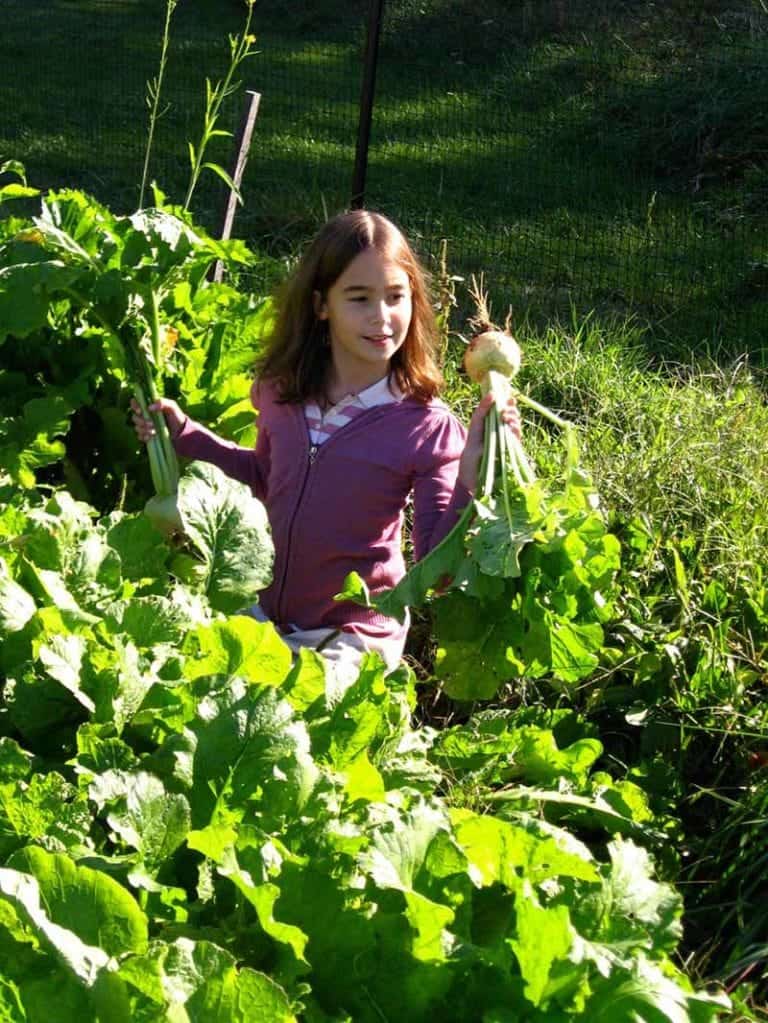 Vibrant girl harvesting fresh, organic vegetables at Eden Village Camp in a lush outdoor garden. Ideal for family eco-friendly vacations and nature-based summer camp experiences.