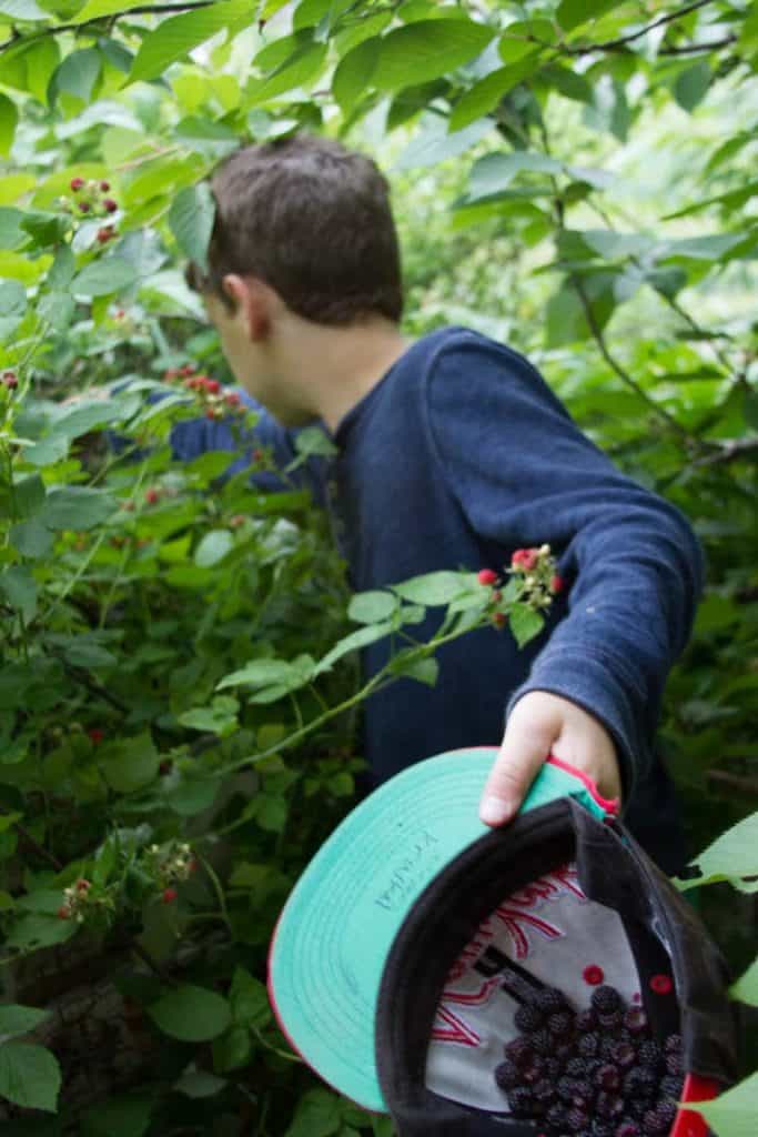 Finding berries during outdoor youth camp activities at Eden Village Camp amid lush green foliage.