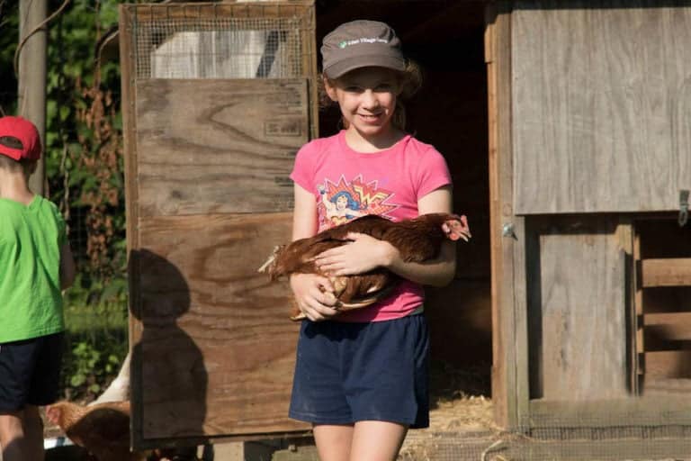 Charming young girl at Eden Village Camp holding a brown chicken outside a wooden coop, experiencing hands-on farm life and nature immersion, perfect for children attending eco-friendly summer camp.