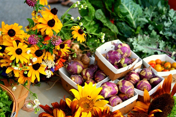 redefine-camp-1 organic flowers and garden produce